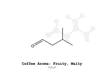 Coffee Aroma Fruity Malty
