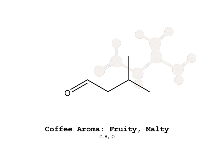 Coffee Aroma Fruity Malty