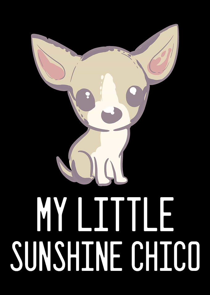 Chihuahua Chico Pet Lover