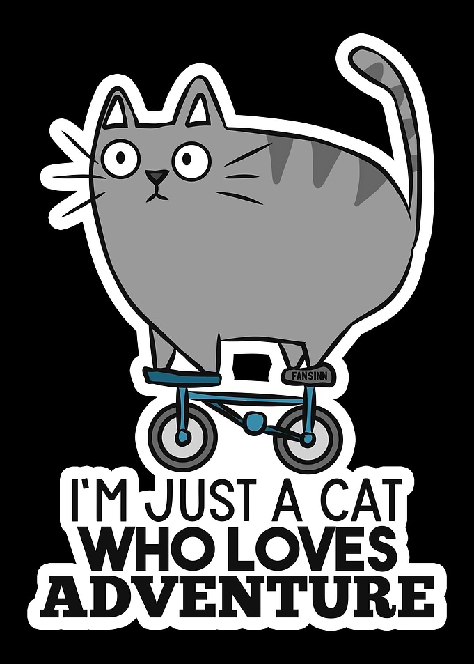 Cat bike funny gift saying