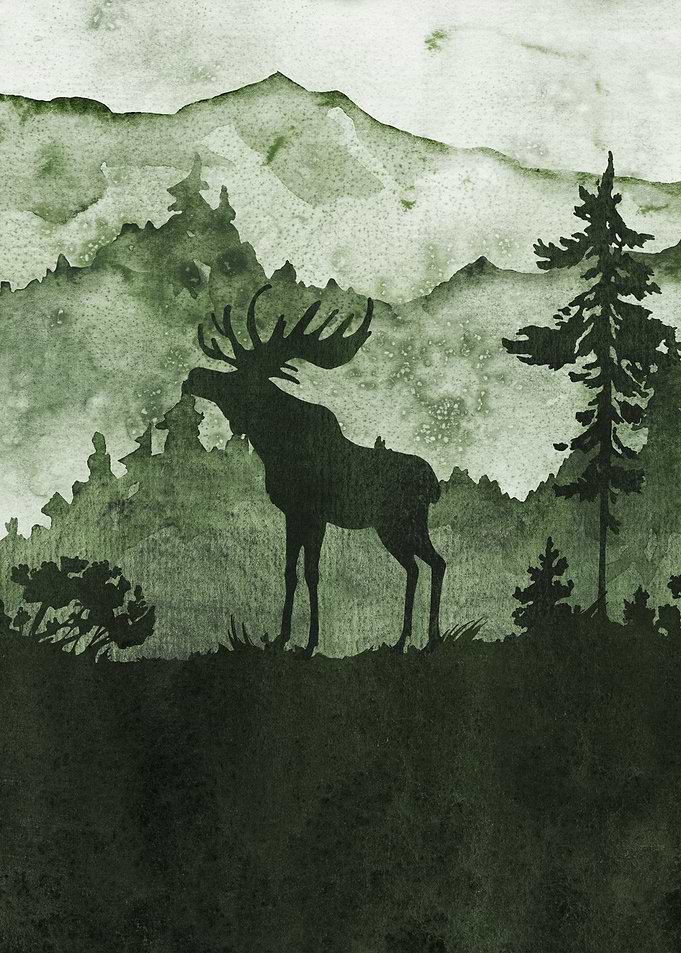 Into Nature Wild Hert