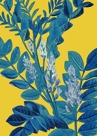 Lemon tree branch