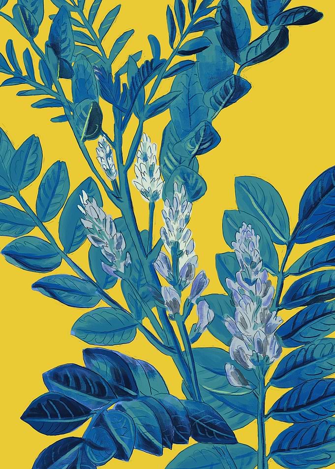 Lemon tree branch