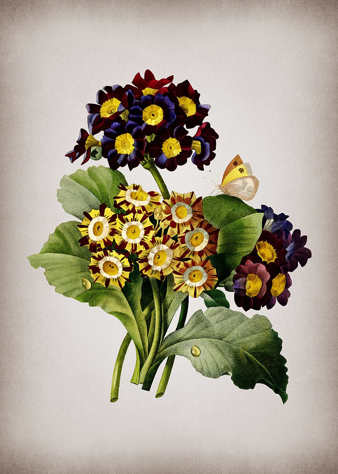 Vintage Antique Flower