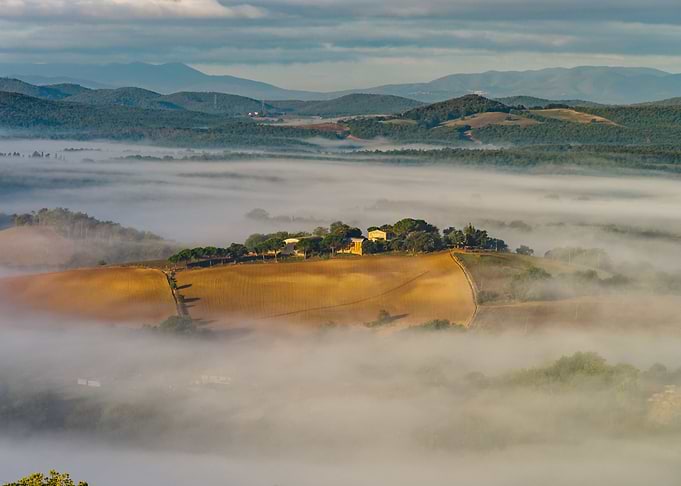 Morning fog