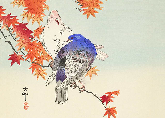 Two pigeons on autumn branch