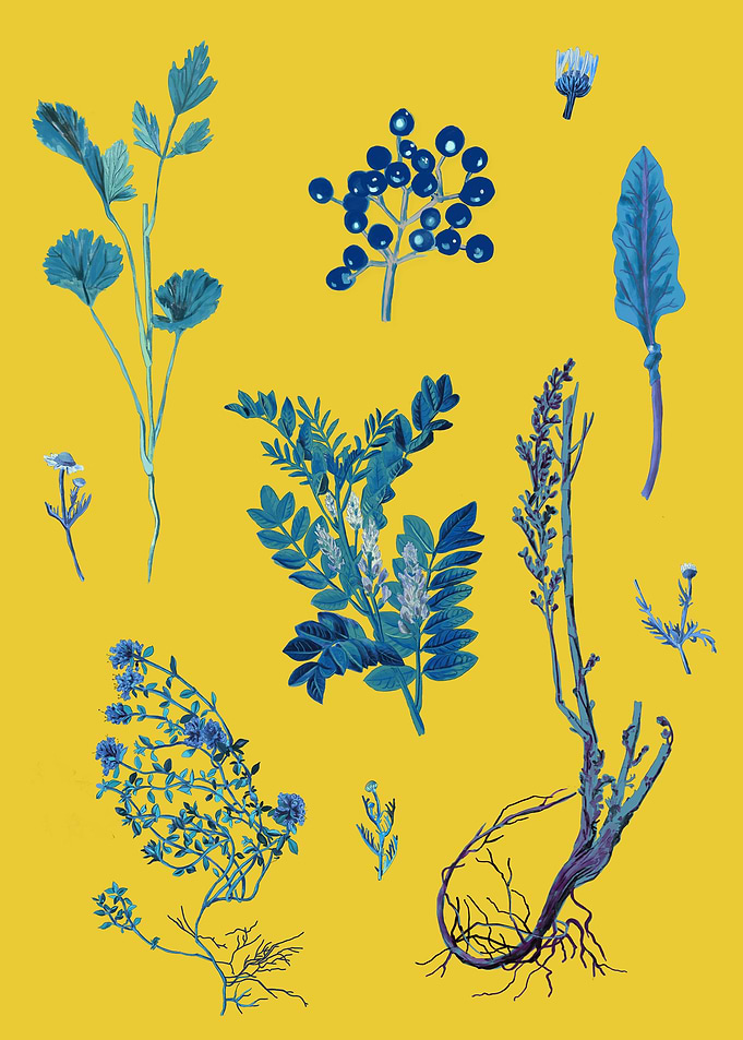 Botanical composition