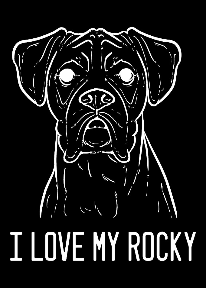 Boxer Dog Rocky Pet Owner