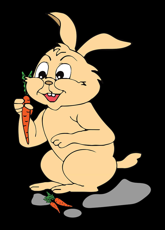 Bunny Rabbit Cony