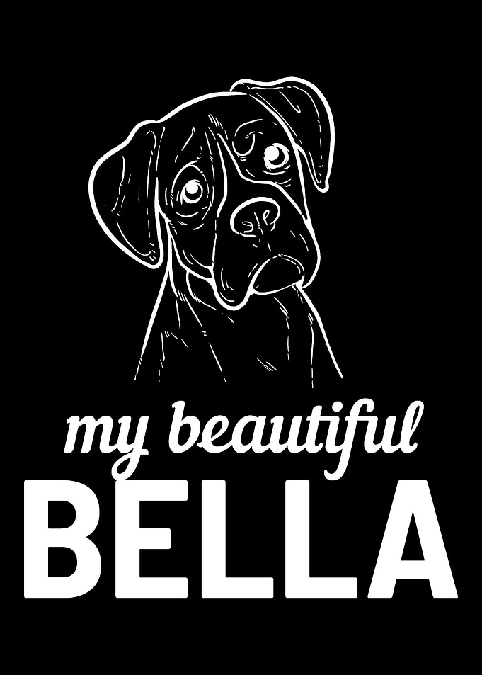 Boxer Dog Bella Pet Lover