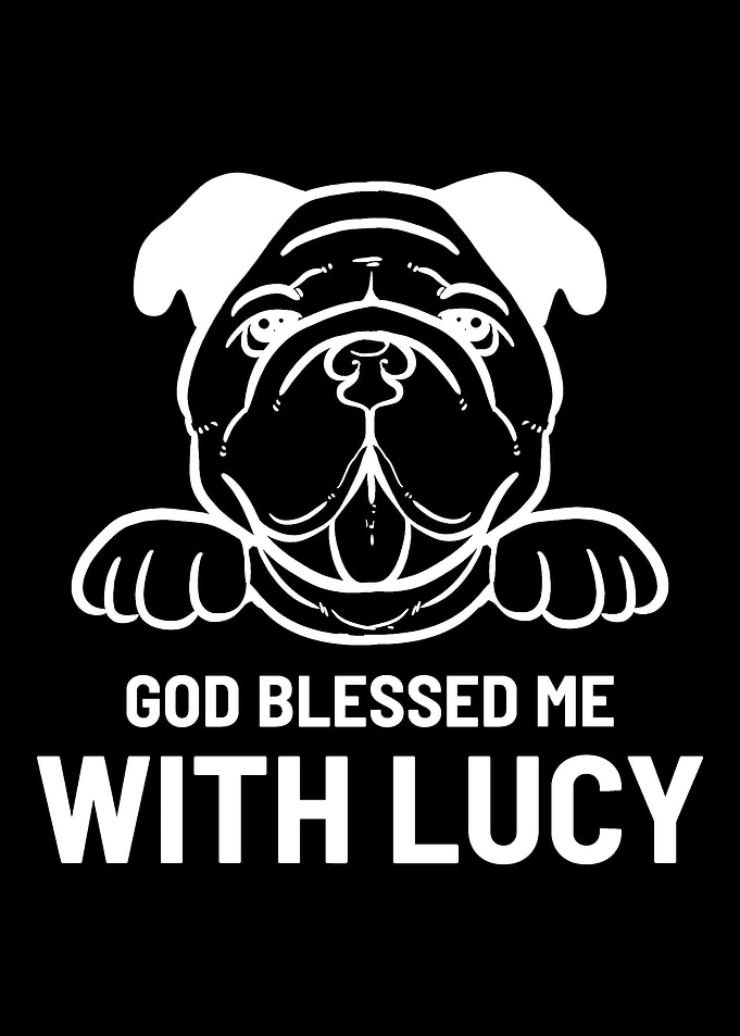Bulldog Lucy Bulldog Lover