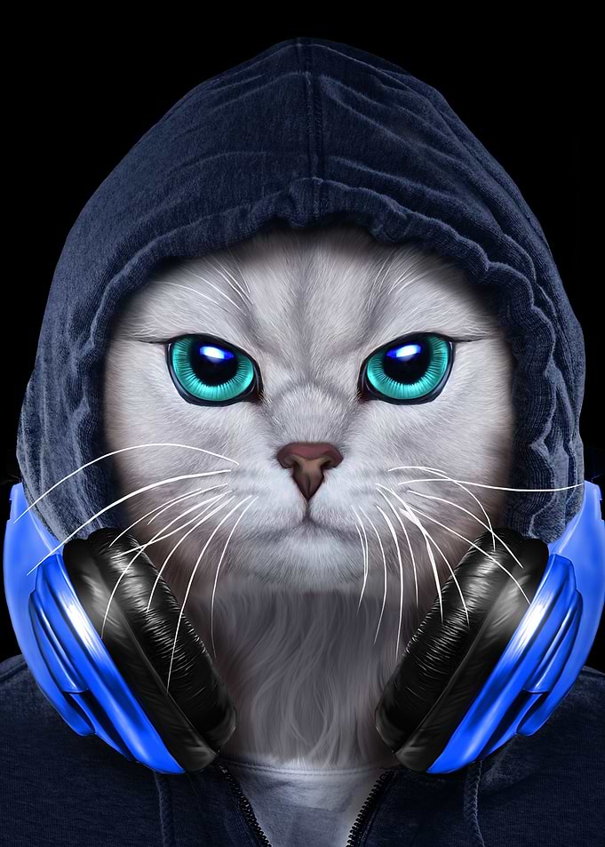 Hip Hop Tabby Cat in Hood
