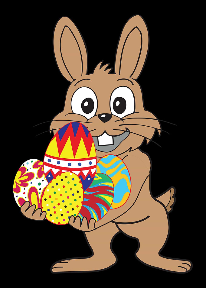 Bunny Rabbit Cony