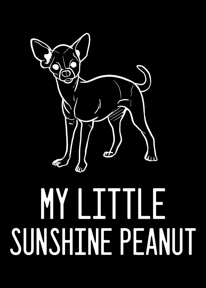 Chihuahua Peanut Dog Keepe