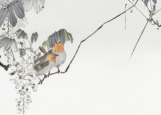 Two sparrows