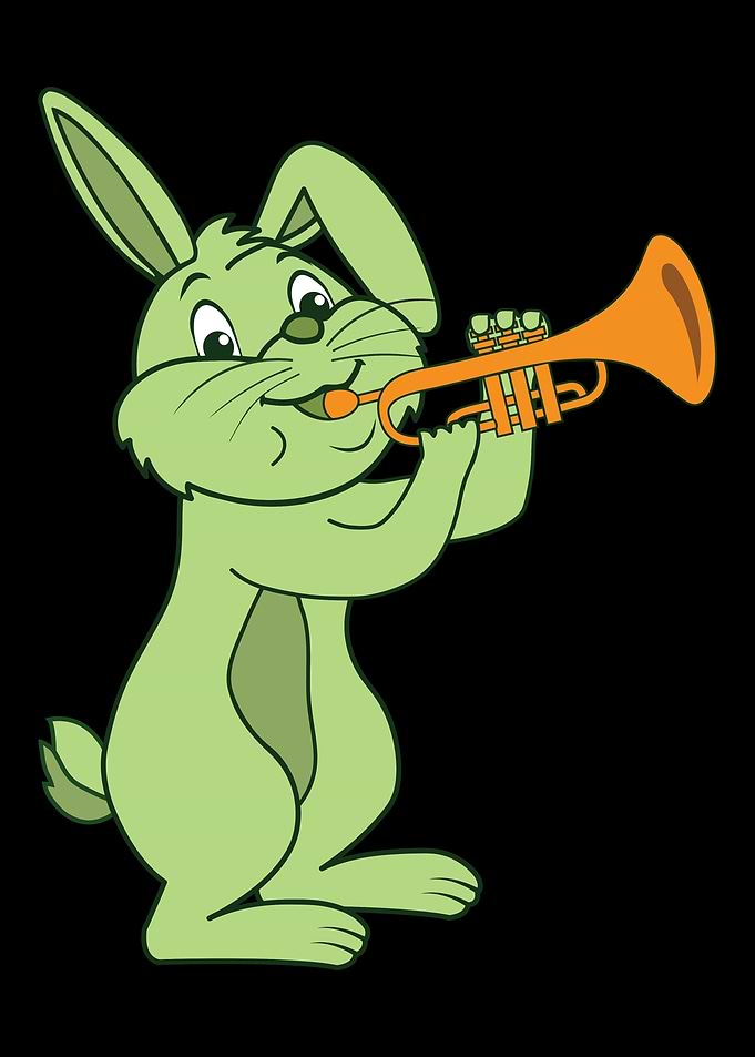 Bunny Rabbit Cony