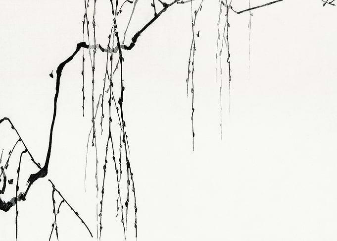 Tree branches