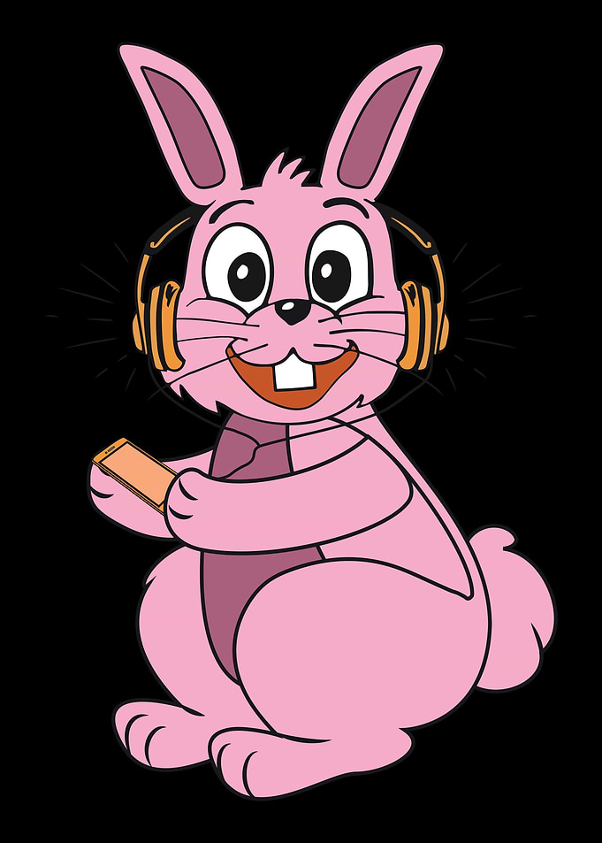 Bunny Rabbit Cony