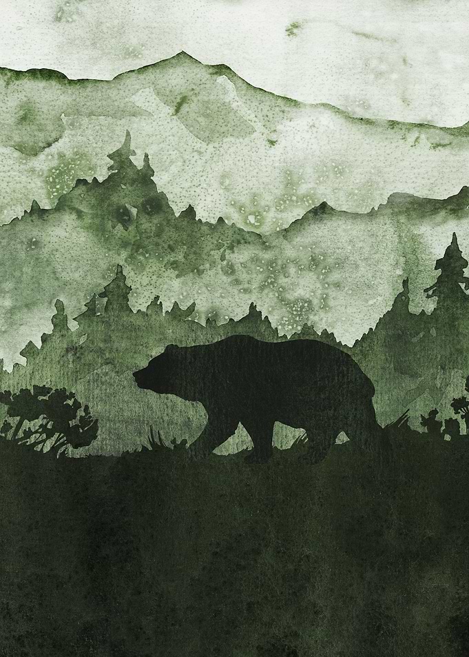 Into Nature Wild Bear