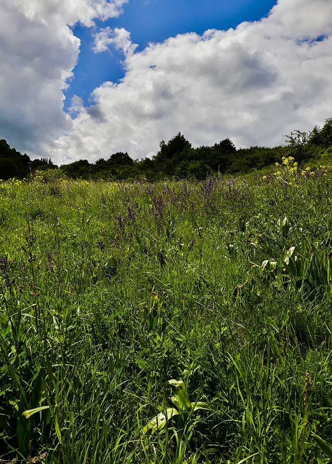 Trekking landscape