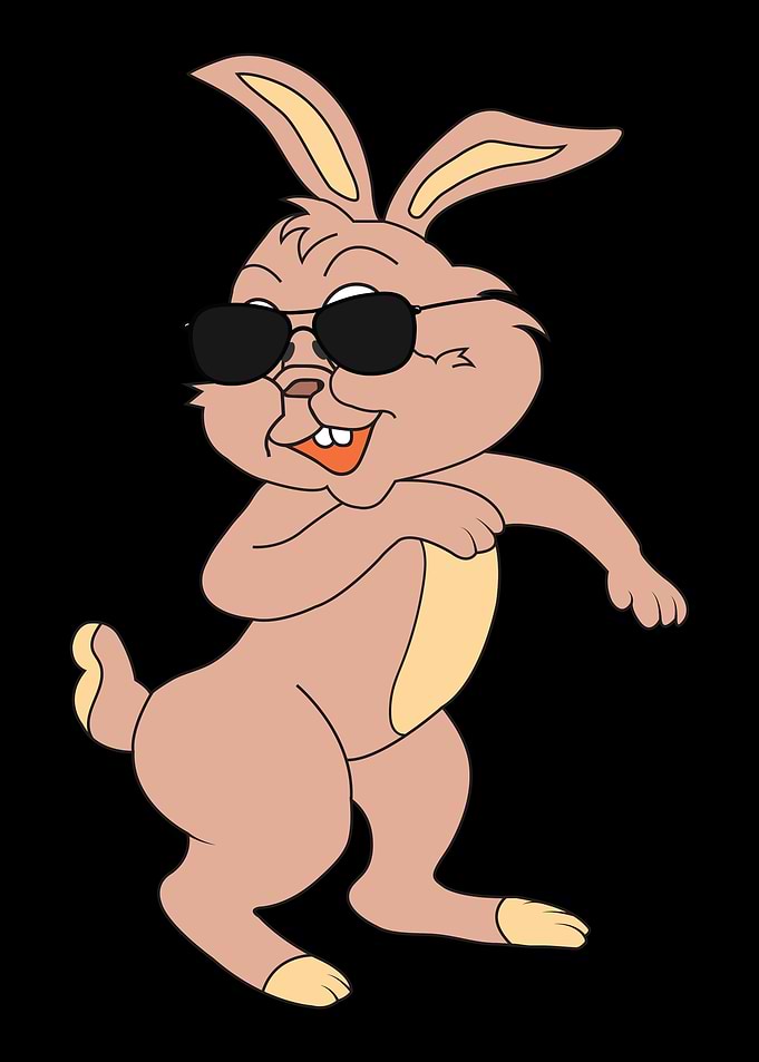 Bunny Rabbit Cony