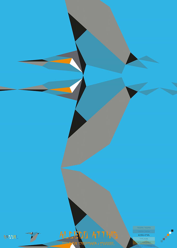 Alcedo Atthis