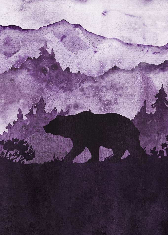 Into Nature Wild Bear