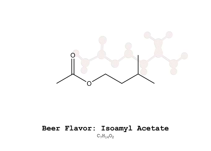 Isoamyl Acetate