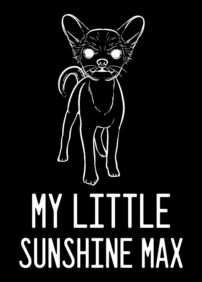 Chihuahua Max Pet Person G