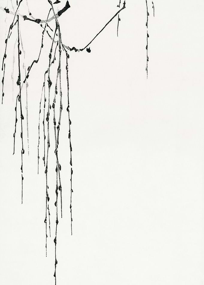 Tree branches