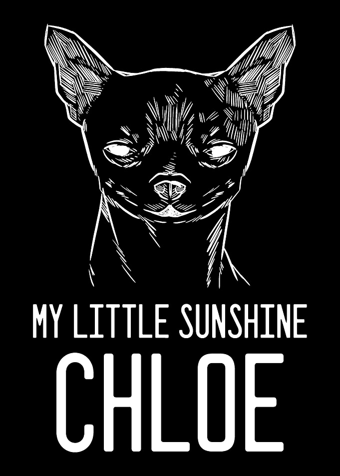 Chihuahua Chloe Animal Res