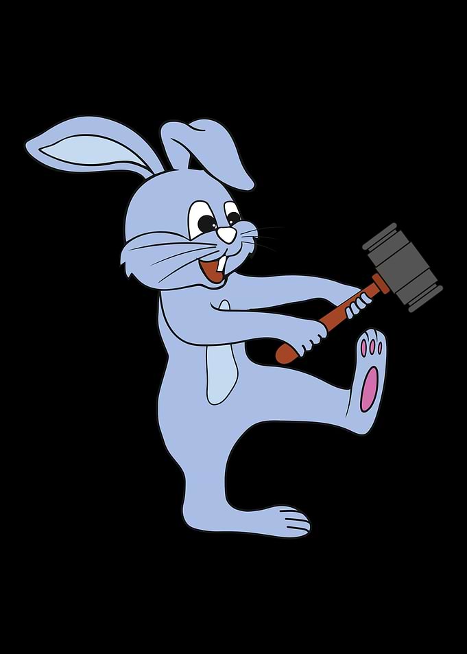 Bunny Rabbit Cony