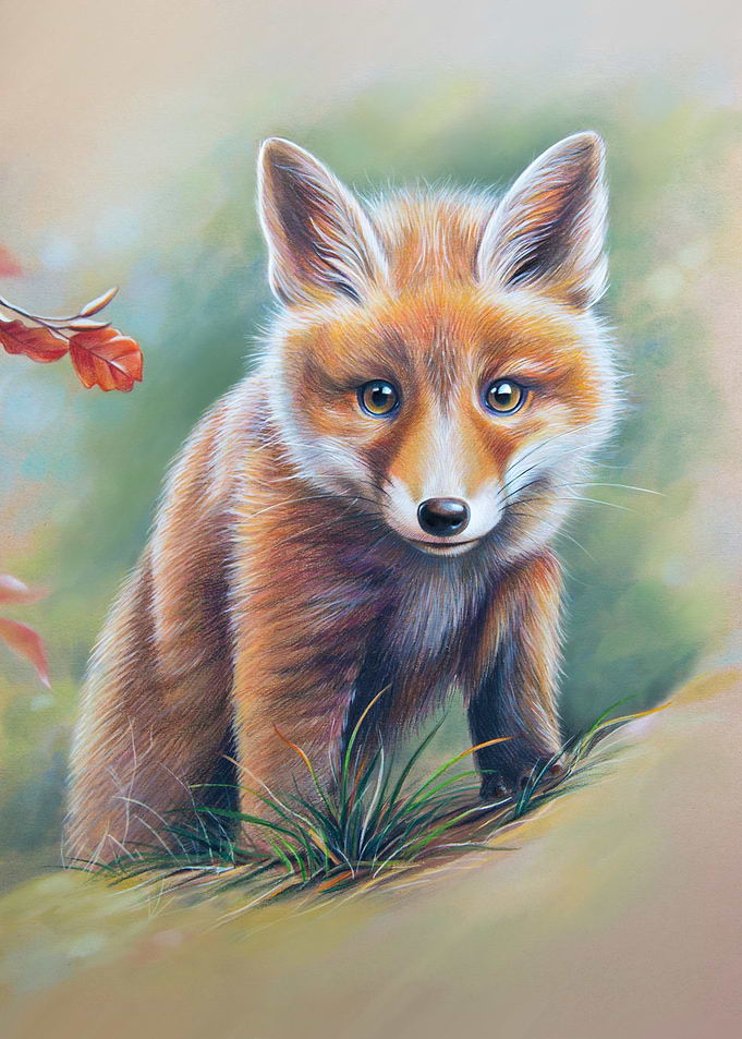 Red fox pup in forest