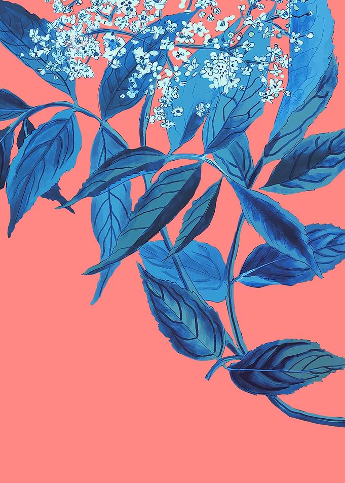 Vintage style flower