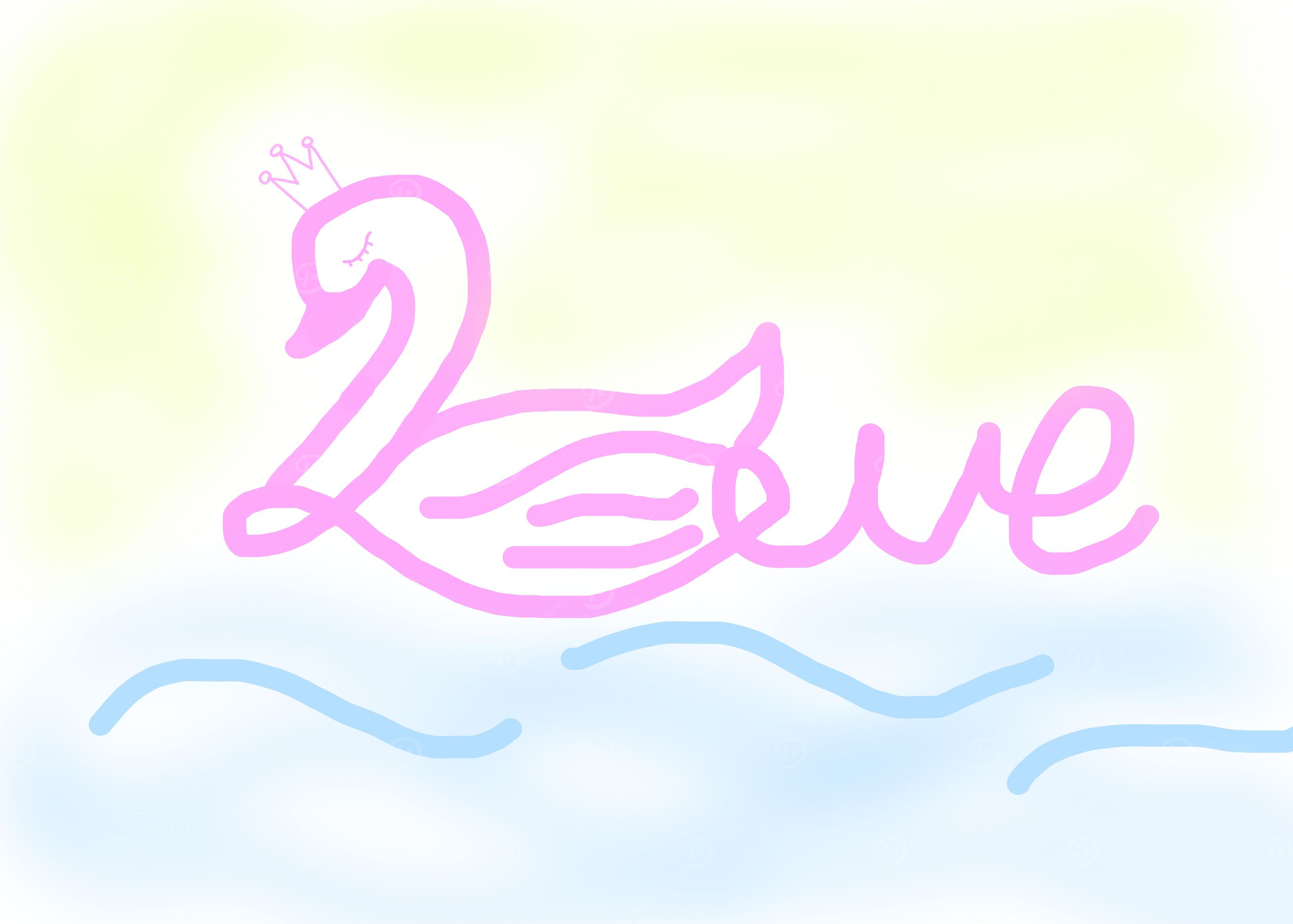 Swan Love