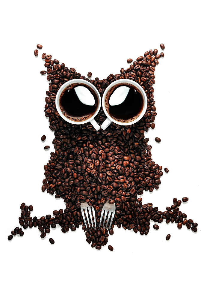 Coffee Owl