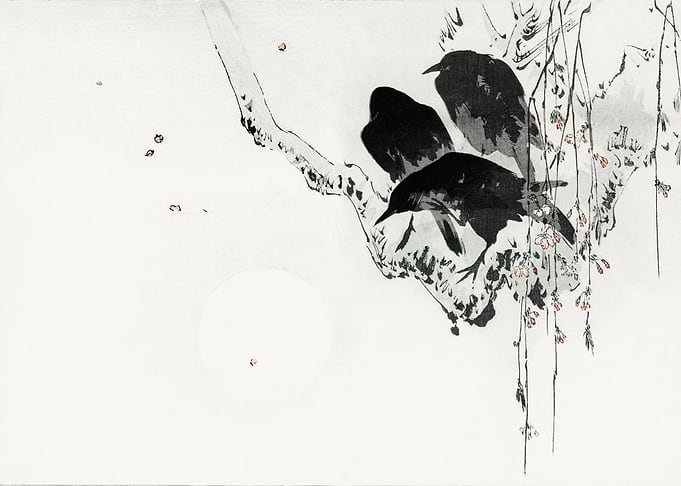 Japanese crows