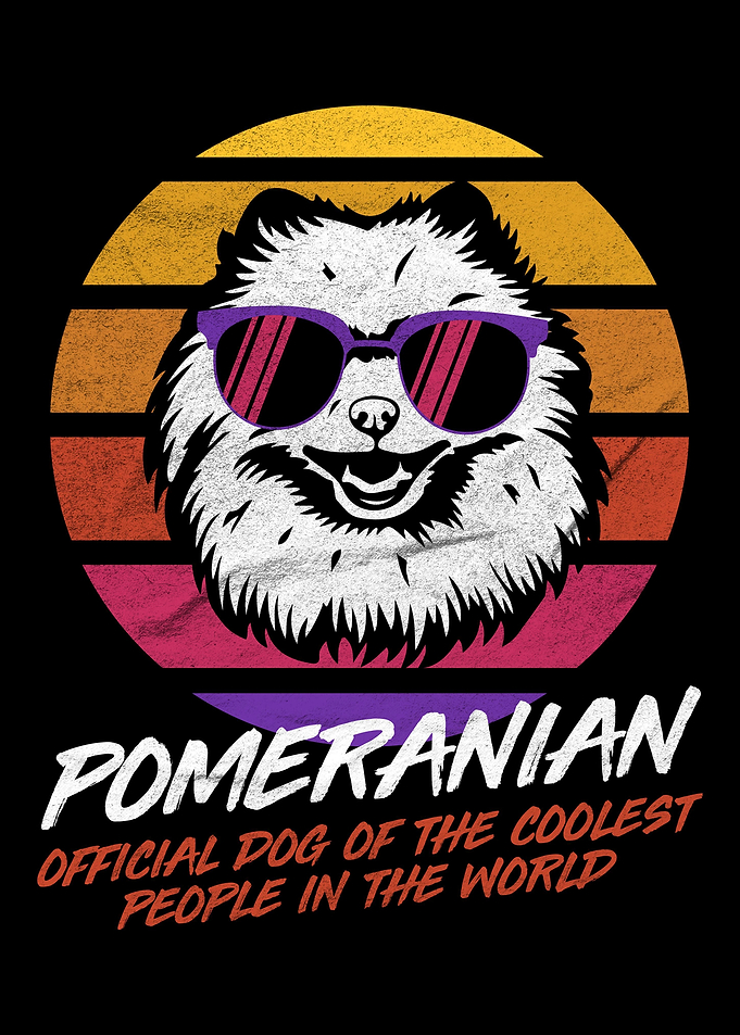 Coolest Dog Pomeranian