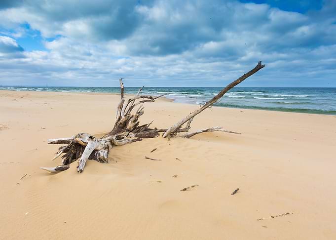 Baltic Beach Beautiful Bea
