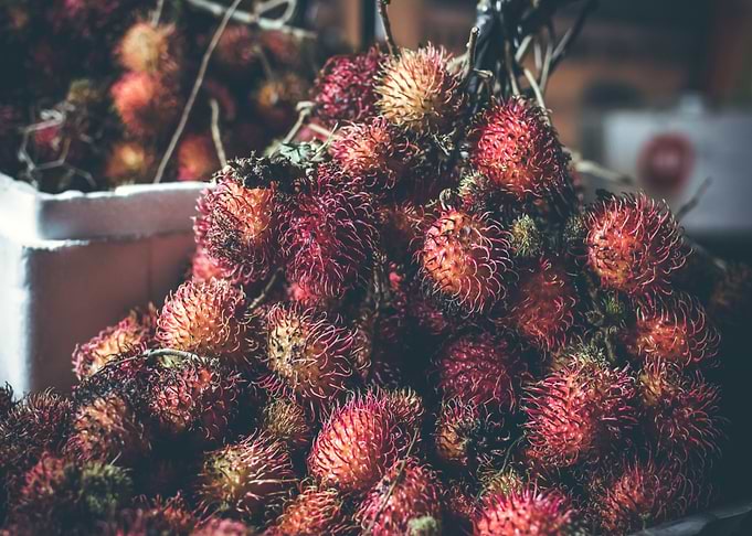 rambutan fruit red