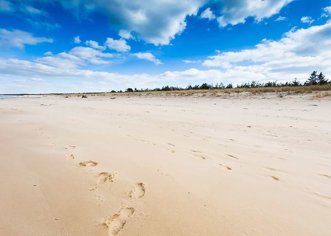 Baltic Beach Beautiful Bea