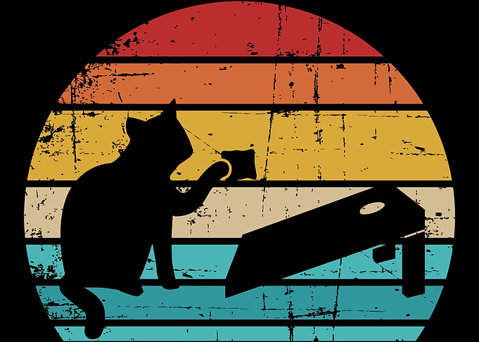 Cornhole cat vintage