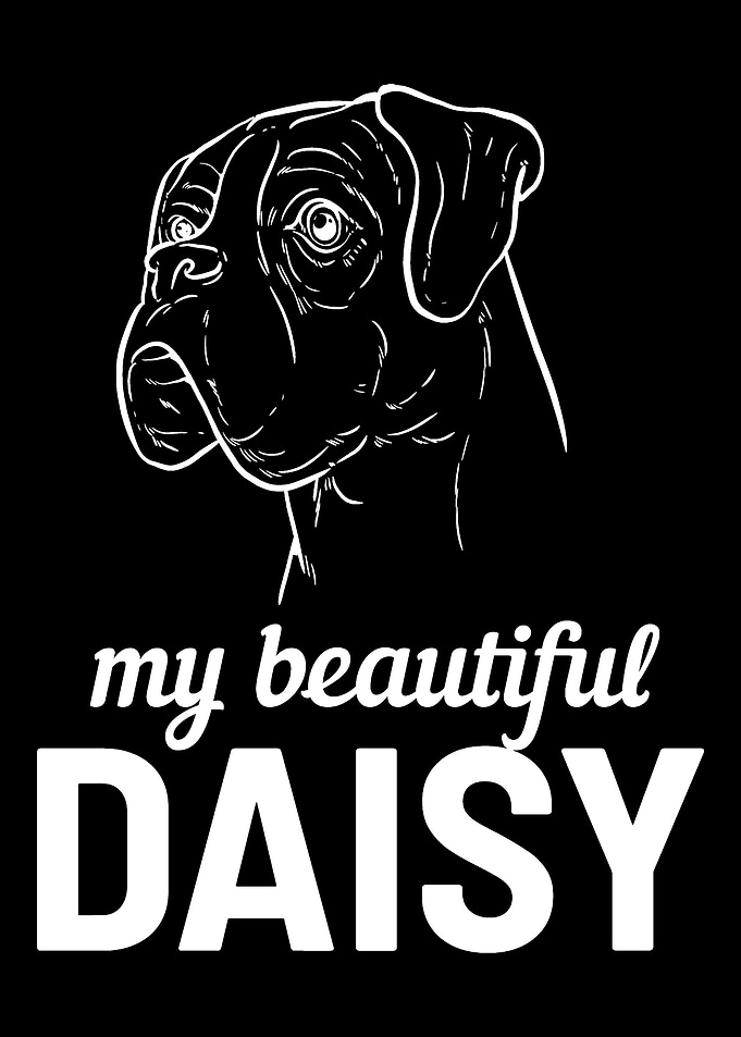 Boxer Dog Daisy Animal Coa