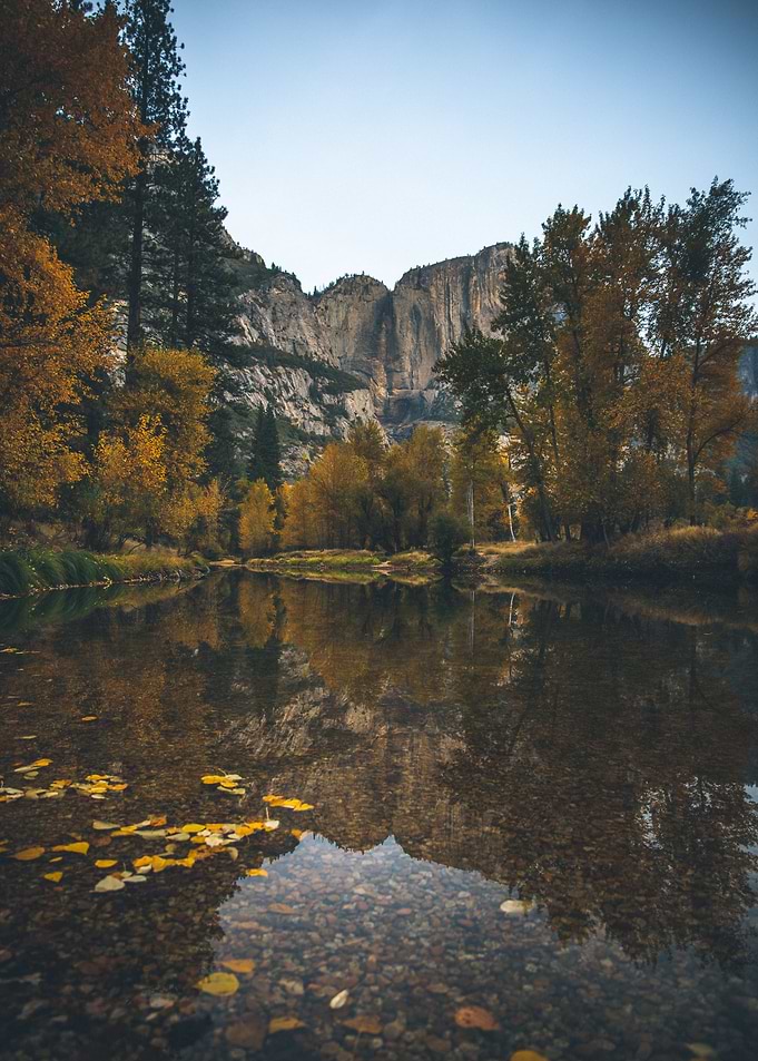 River Nature
