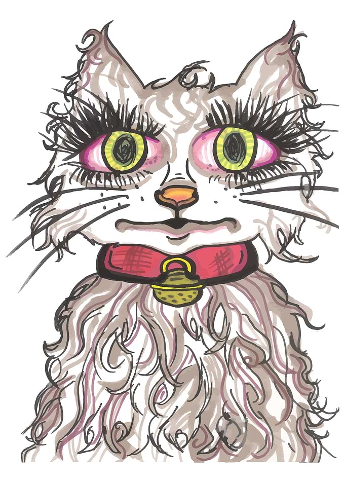 Cute Cat