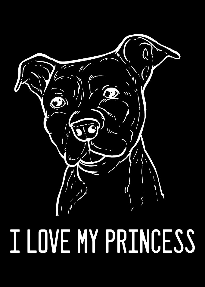 American Pitbull Terrier P