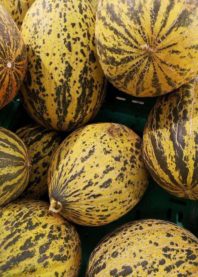 yellow oval fruit