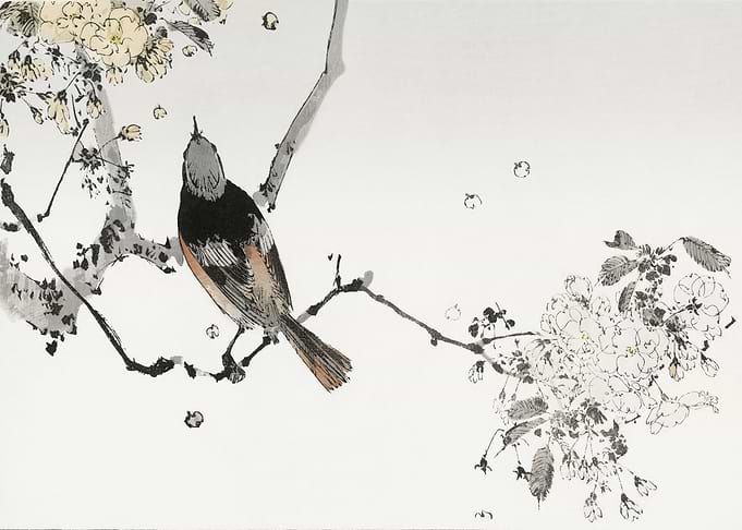 Perched Japanese swallow