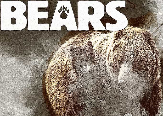 Bears