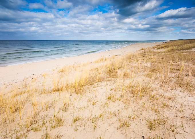 Coast Grass Sand Sea Beach